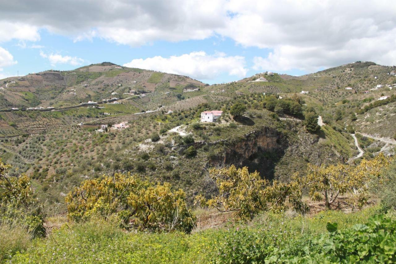 Casadubislav Διαμέρισμα Canillas de Albaida Εξωτερικό φωτογραφία